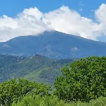 Colle Del Mirto