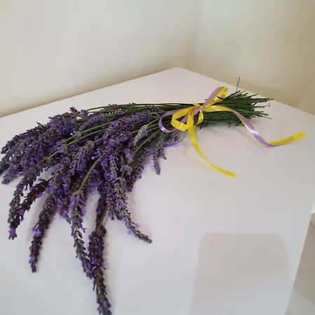 Farm stay Colle Del Mirto Castelnuovo Cilento