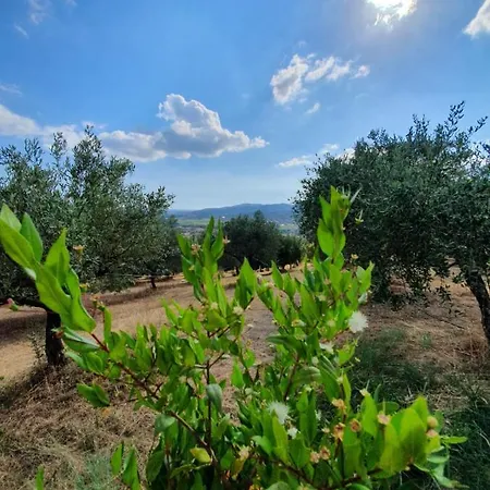 Colle Del Mirto Farm stay *