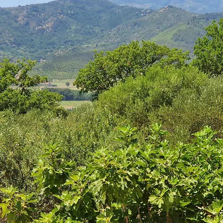 Farm stay Colle Del Mirto