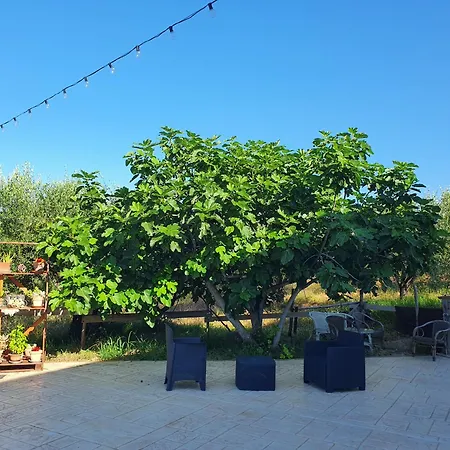 Farm stay Colle Del Mirto