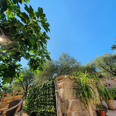 Farm stay Colle Del Mirto