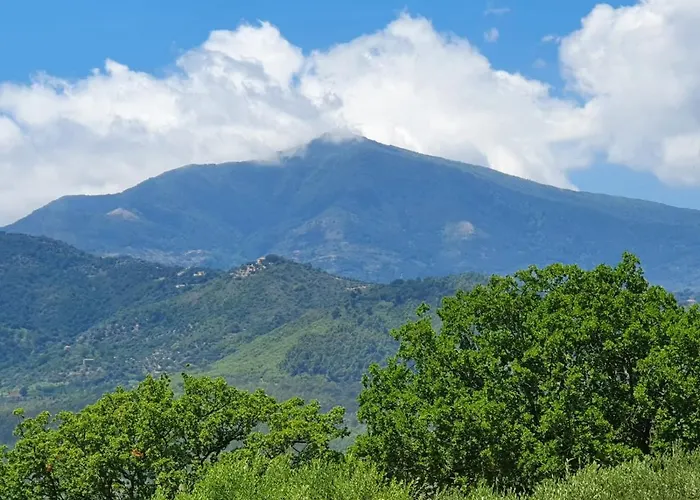 Colle Del Mirto